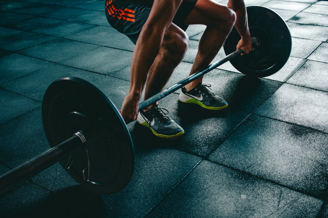 La nostra palestra
