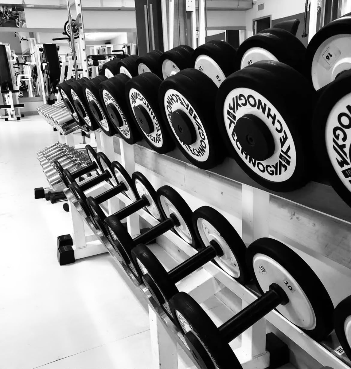 Rastrelliera manubri Technogym